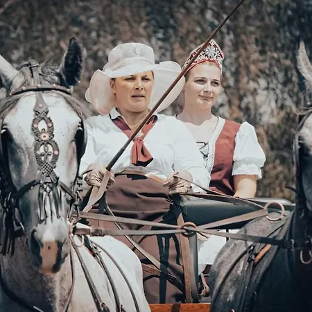 Διαμέρισμα Vendeghaz
